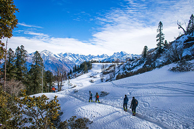 Shimla & Kufri Hill Station Tour